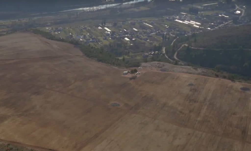 Ilustracija članka: Pogledajte kako izgleda najveća plantaža smilja u Hercegovini (VIDEO)