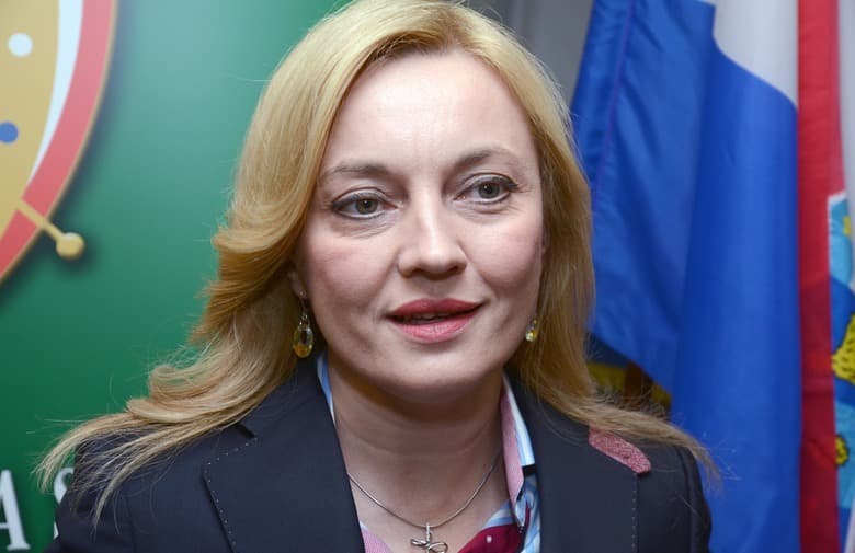 Ilustracija članka: Marijana Petir: Hrvati u BiH moraju imati TV kanal na vlastitome jeziku