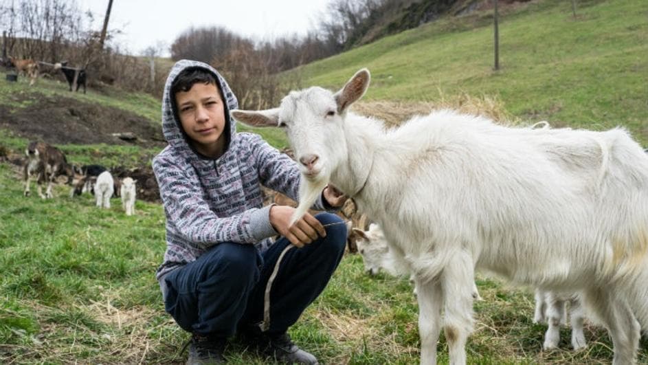Ilustracija članka: Sad i on ima životnje: Dječak koji je želio kozu sad ih ima 25