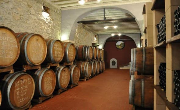 Ilustracija članka: Proizvođači vina iz Hercegovine na sajmu u Düsseldorfu