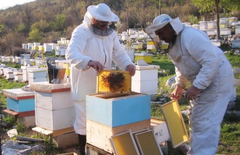 Ilustracija članka: Najčešće se krivotvore med, slatkiši, alkoholna pića i vinjaci…