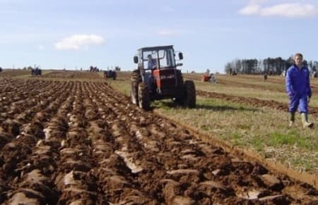 Ilustracija članka: Za 20.000 obitelji na selu – posao