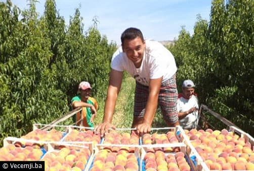Ilustracija članka: Jabuke i stolno grožđe s juga Hercegovine putuju u Rusiju