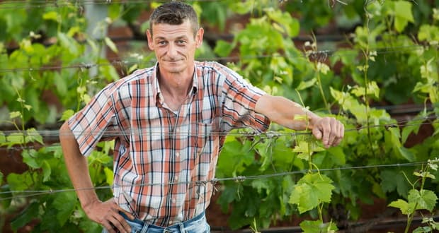 Ilustracija članka: Cvrca iz Gruda u ‘Ljubavi na selu’ traži ženu, ali je navijački ‘puka’: Proda bi je za Hajduka!