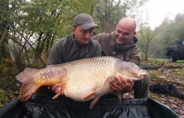 Ilustracija članka: Gruđanin srušio rekord BiH šaranom od 36,540 kg. Zlato osvojeno ispred Austrijanaca