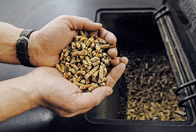 Ilustracija članka: Najavljeno produljenje zabrane izvoza peleta i oblovine za još pet mjeseci