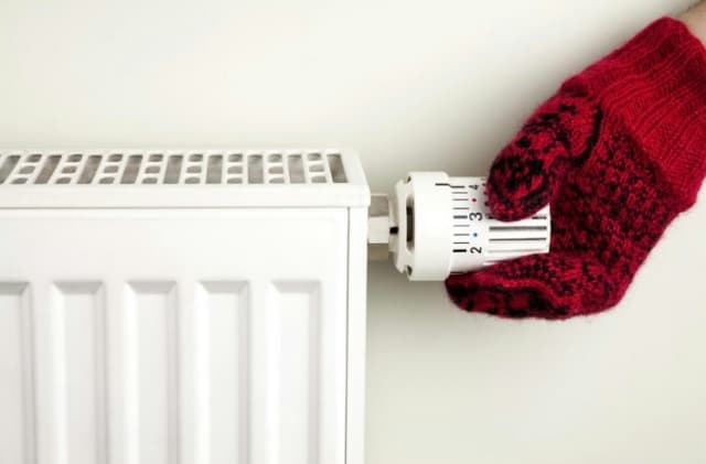 Ilustracija članka: Hercegovci panično razgrabljuju ugalj, drva i pelet