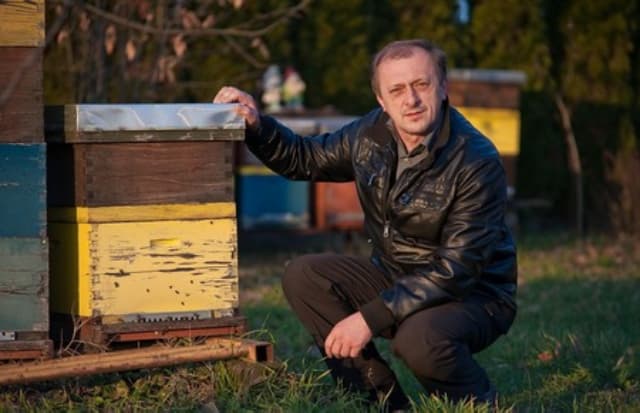 Ilustracija članka: Hladnoća nanijela štete smilju i malinama, zabilježen pomor pčela…