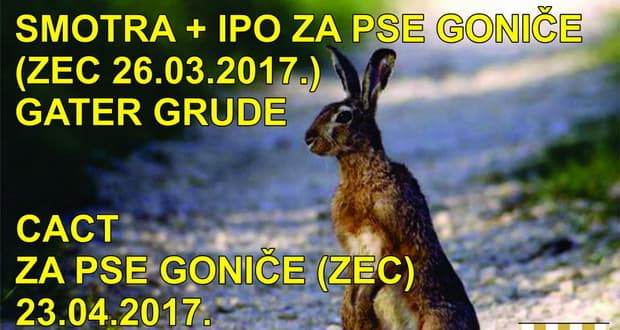 Ilustracija članka: Kinološka udruga Grude organizira radnu manifestaciju pasa goniča na zeca