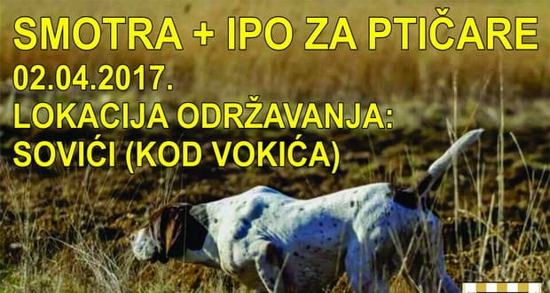 Ilustracija članka: Kinološka udruga Grude organizira radnu manifestaciju pasa ptičara