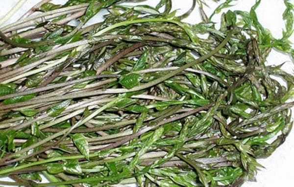 Ilustracija članka: Vrijeme je za kuke, simbol progutane povijesti Hercegovine