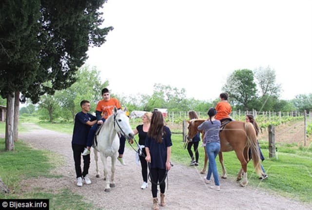Ilustracija članka: Čapljina: Na terapijsko jahanje dolazi 120 djece iz Hercegovine