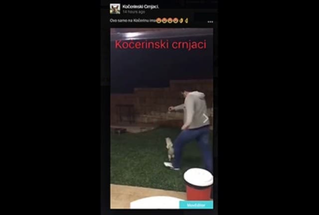 Ilustracija članka: VIDEO| U Kočerinu se hvale zlostavljanjem životinja