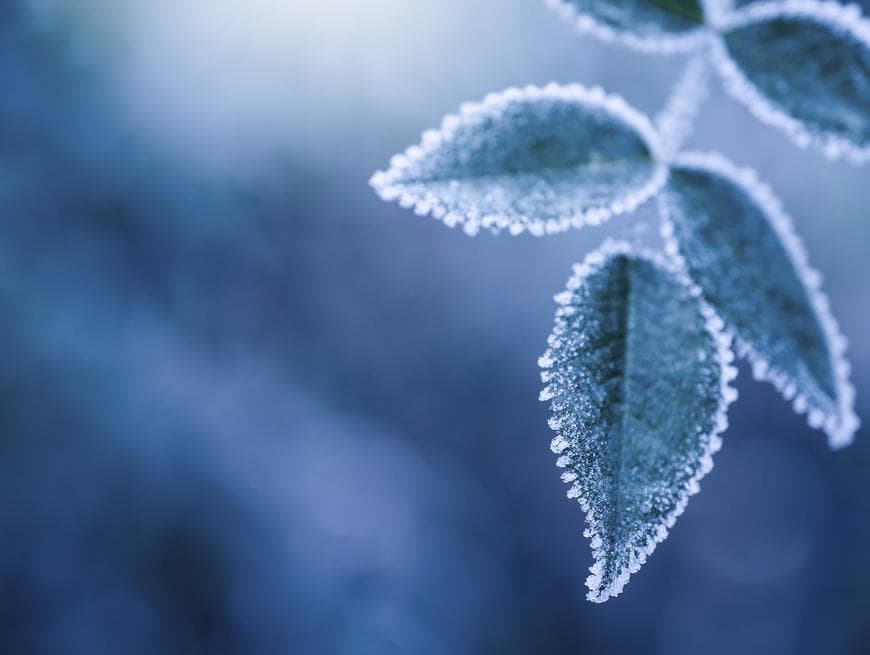 Ilustracija članka: Poljoprivrednici najavljuju kako će tražiti proglašenje elementarne nepogode