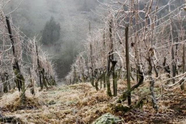 Ilustracija članka: U cijeloj ŽZH proglašeno stanje prirodne nepogode 