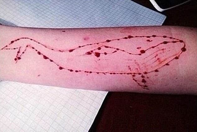 Ilustracija članka: Smrtonosni “Plavi kit” stigao i u BiH, roditelji u panici