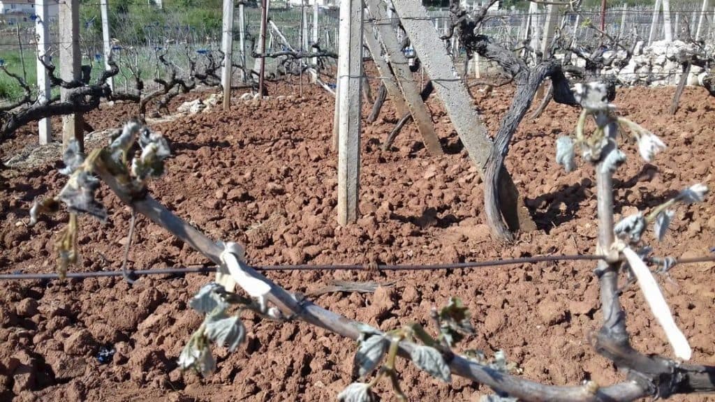 Ilustracija članka: Obavijest za građane općine Grude – prijava štete uzrokovane prirodnom nepogodom