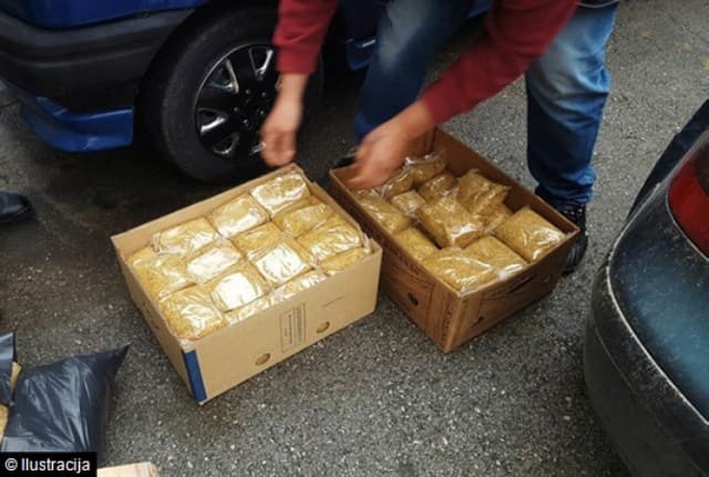 Ilustracija članka: Akcija List: Zaplijenjene gotovo dvije tone duhana