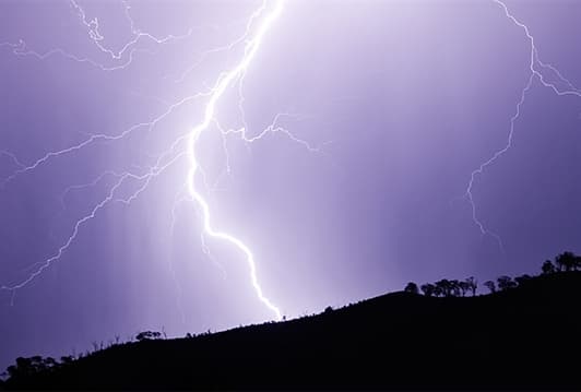 Ilustracija članka: Grom u Rami ubio devet krava