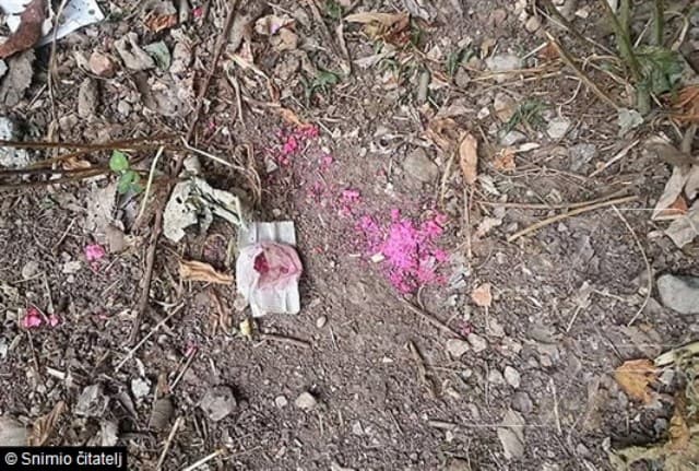 Ilustracija članka: BiH: Epidemija mišje groznice