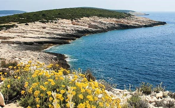 Ilustracija članka: New York Times: Hrvatska je najpopularnija ljetna destinacija godine