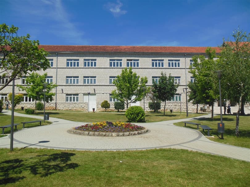 Ilustracija članka: Pismo gimnazijalke iz Posušja: “Dame i gospodo – sve vas je manje!”