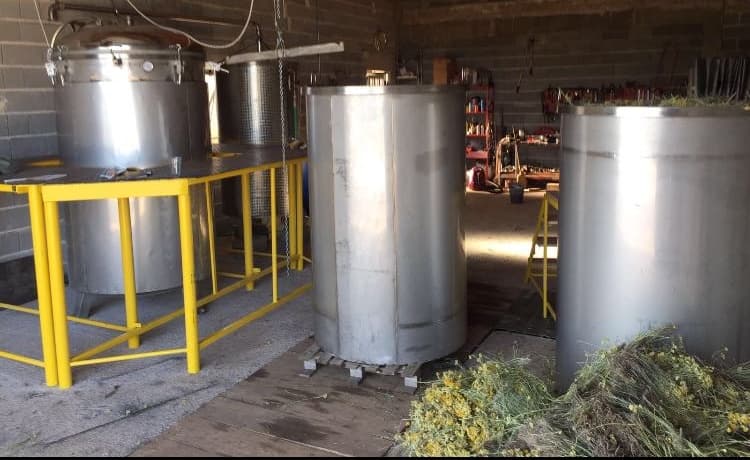 Ilustracija članka: Nova destilerija u Grudama nudi uslužno destiliranje svježeg smilja 