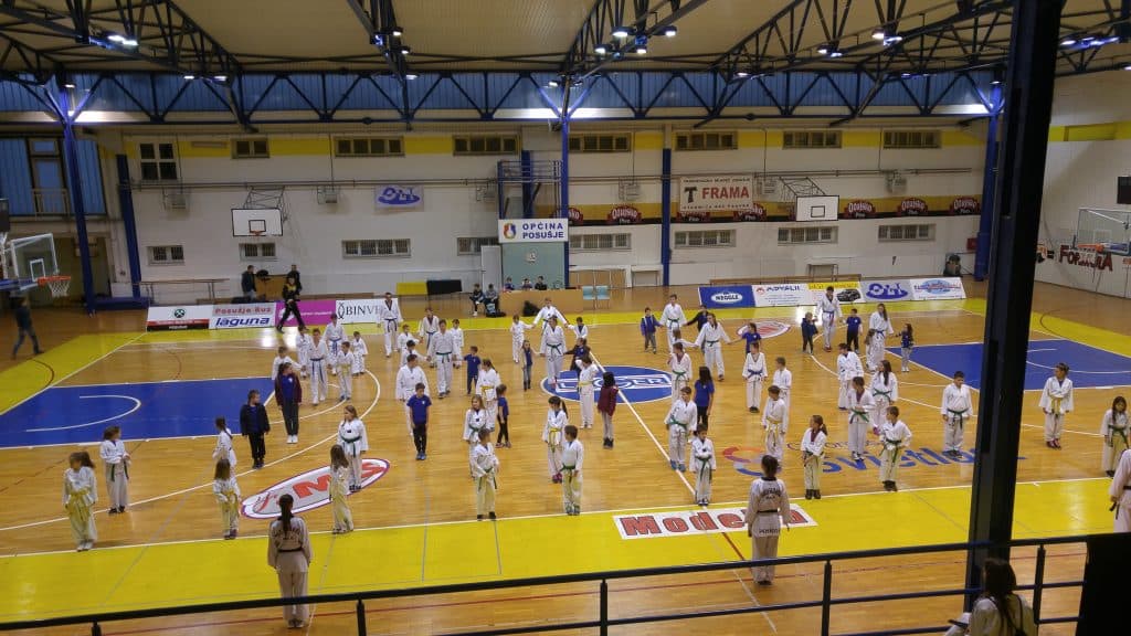 Ilustracija članka: Taekwondo reprezentacija BiH u Posušju