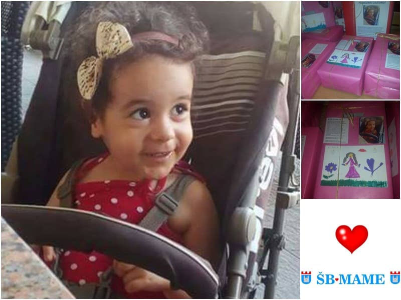 Ilustracija članka: Širokobriješke mame u akciji za Anu Ritu