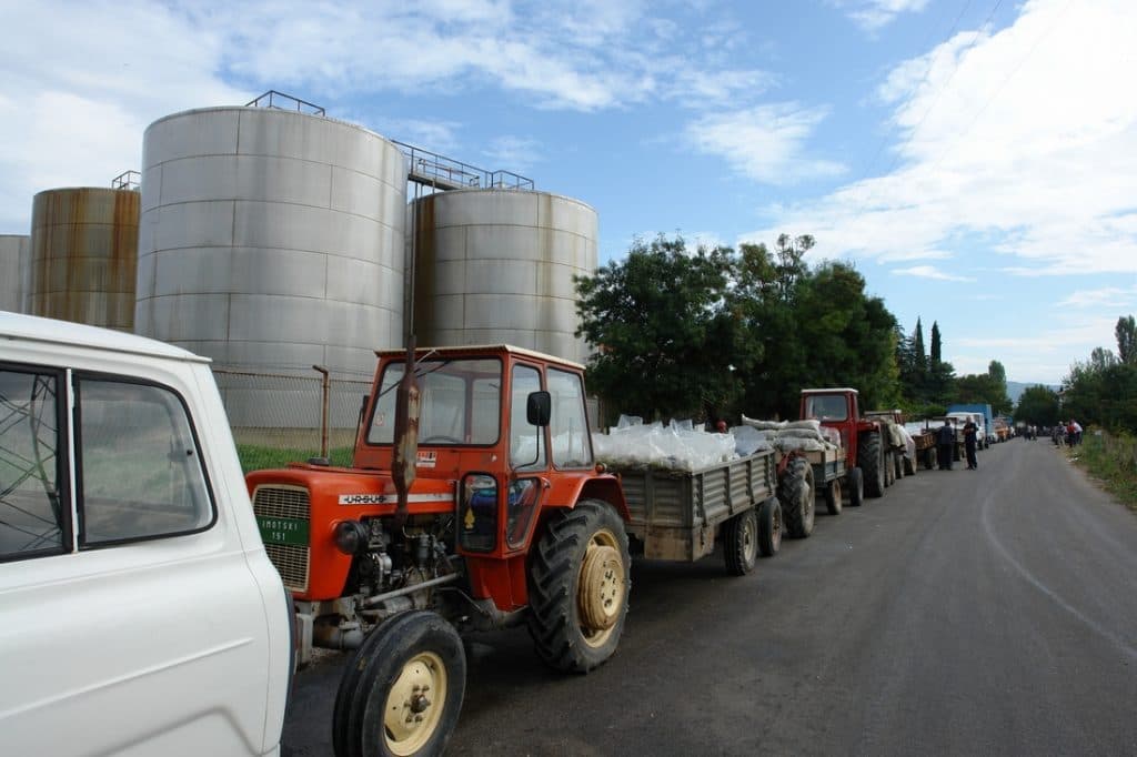 Ilustracija članka: Tužna sudbina imotske vinarije