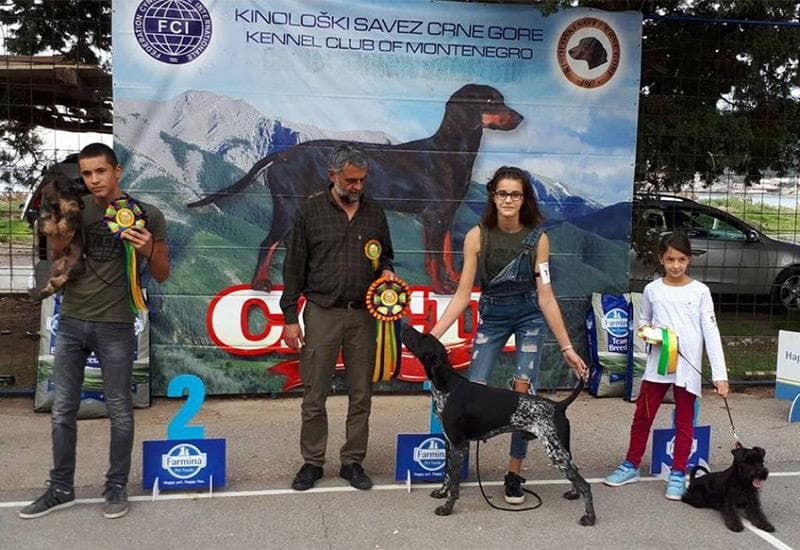 Ilustracija članka: Dvanaestogodišnjakinja iz Ljubuškog osvojila nagradu za najboljeg vodiča pasa