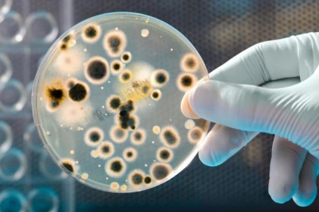 Ilustracija članka: Hepatitis u Bosni ‘pojeo’ više od 4,5 milijuna, u Hercegovini 350.000 KM