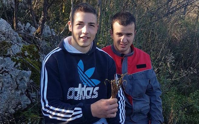 Ilustracija članka: Toplo vrijeme izvuklo ‘kuke’: ni stariji stanovnici ne sjećaju se da ih je itko brao u siječnju