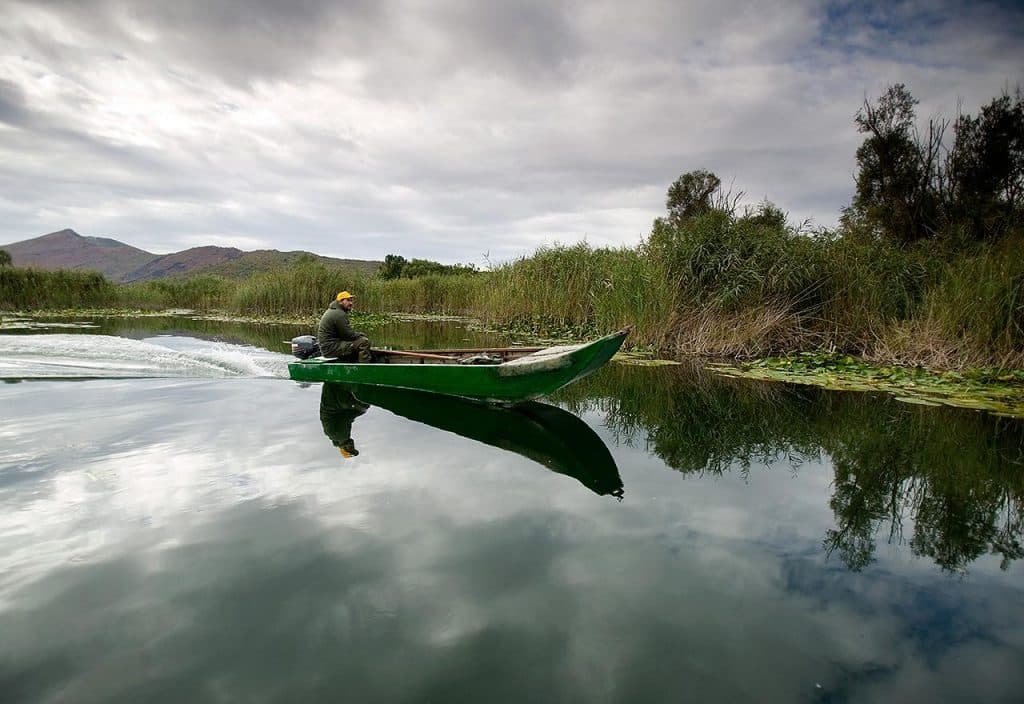 Ilustracija članka: Krenulo se u spas Hutova blata i Livanjskog polja