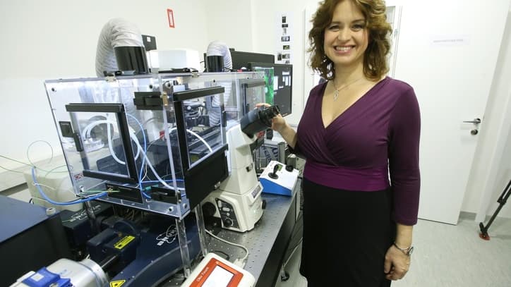 Ilustracija članka: AUSTRIJSKI NOBEL: Posušanki Ivi Tolić priznanje Austrijske akademije znanosti