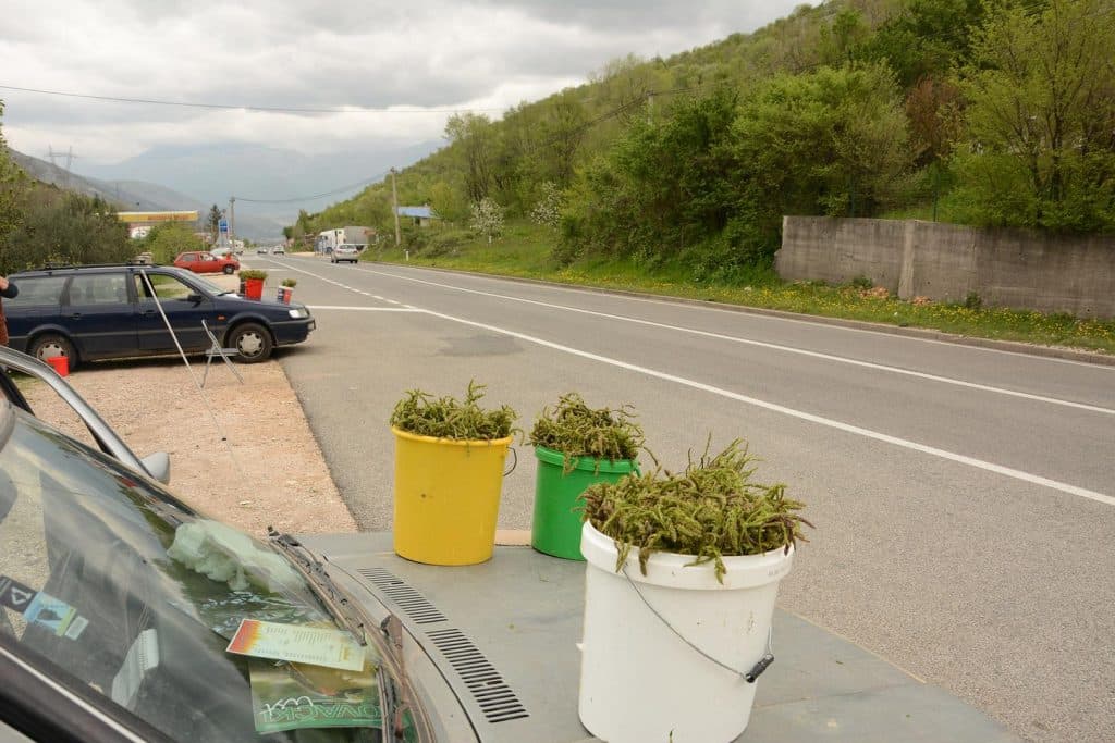 Ilustracija članka: Hercegovačke kuke tražene su i u Londonu