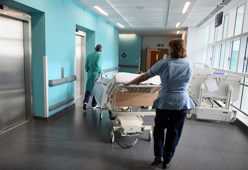 Ilustracija članka: Imoćane poharala Q groznica