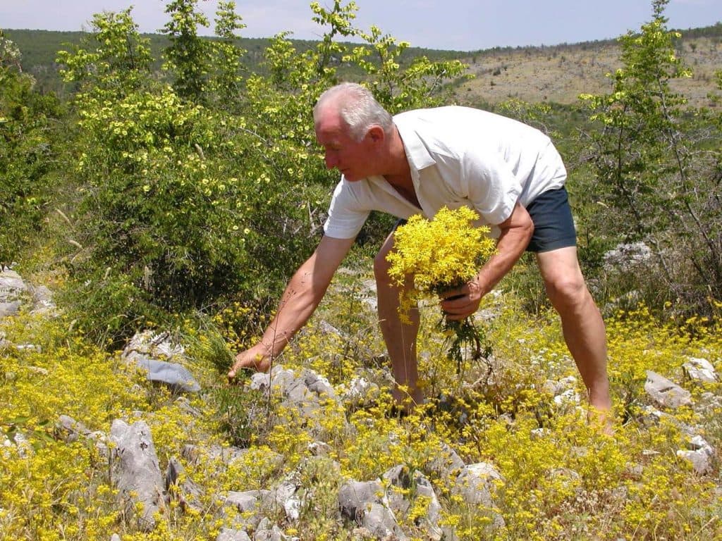 Ilustracija članka: Propada prirodno bogatstvo Hercegovine