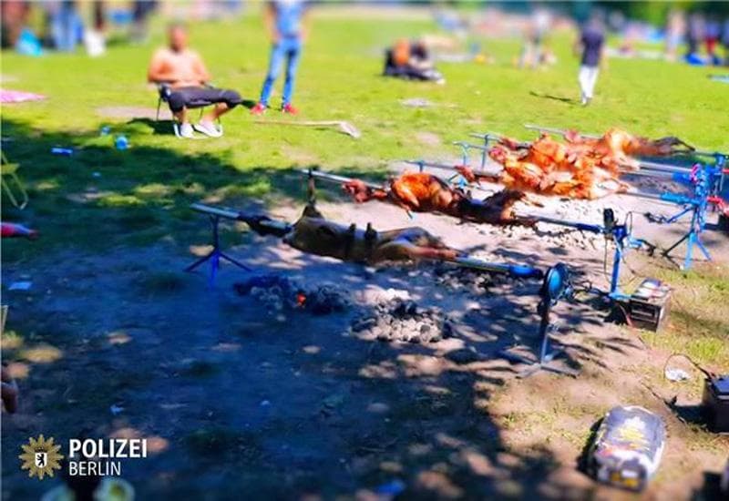 Ilustracija članka: Nijemci u šoku: Grupa ljudi iz BIH u parku ”okrenula” 12 janjaca