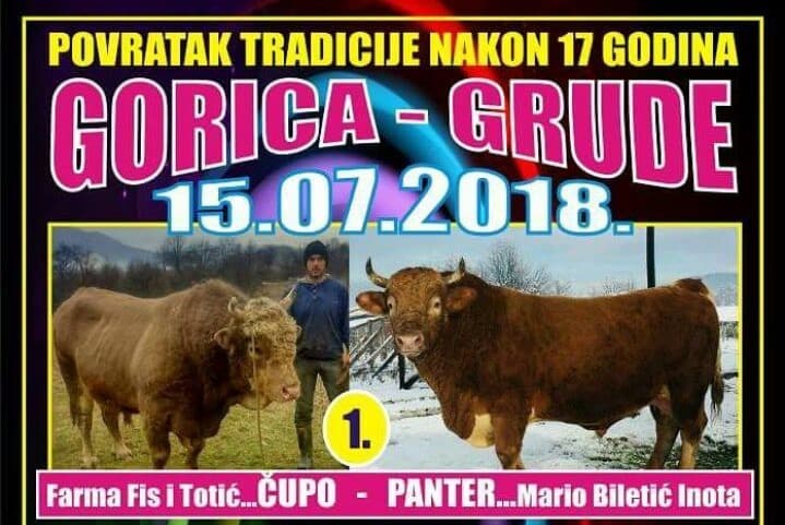 Ilustracija članka: NAJAVA: Borbe bikova se vraćaju u Goricu nakon 17 godina