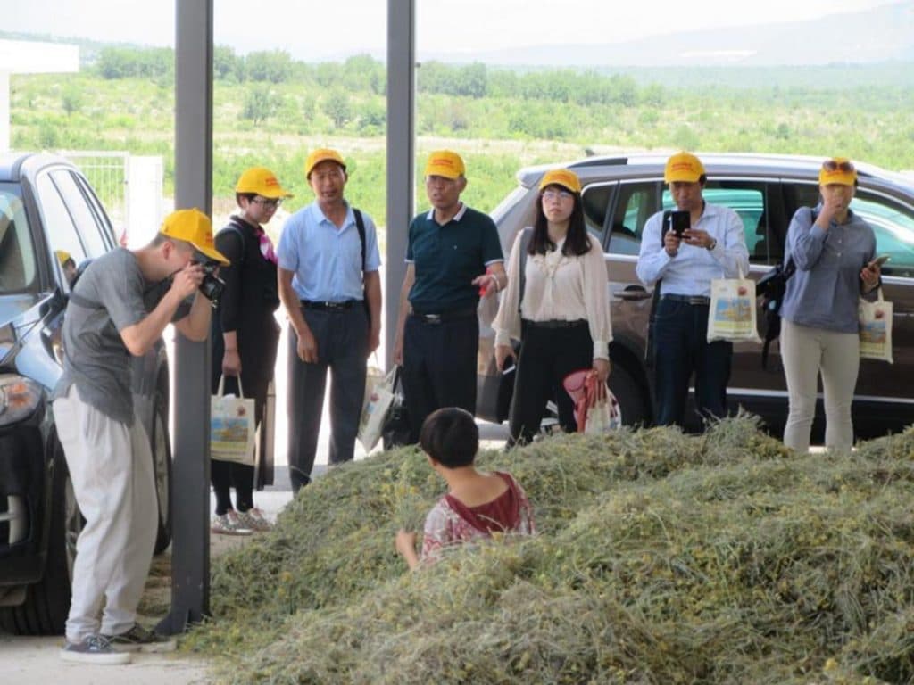 Ilustracija članka: Za proizvođače iz BiH otvara se veliko kinesko tržište