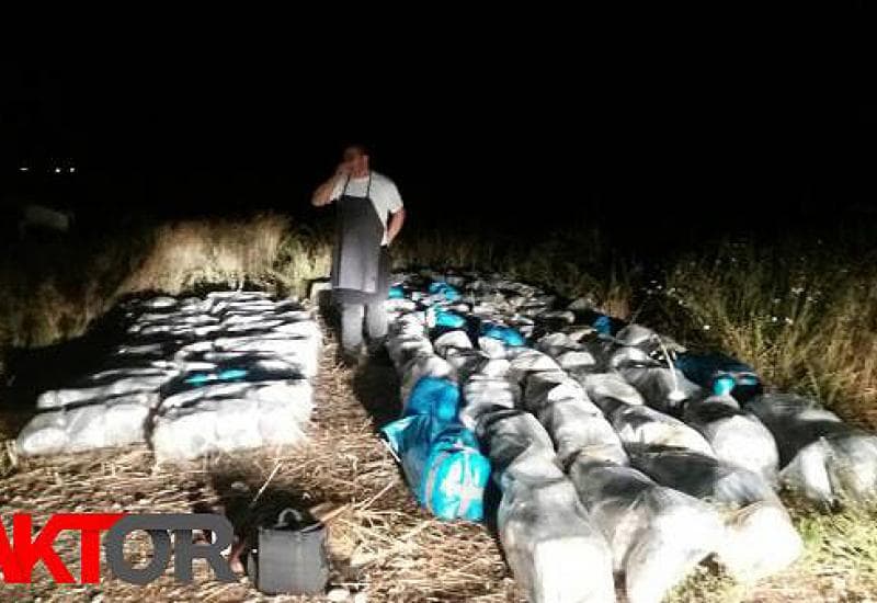 Ilustracija članka: U Neumu palo 650 kg skunka