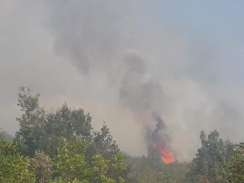 Ilustracija članka: Tihaljina: Požar prijetio kućama i gospodarskim objektima