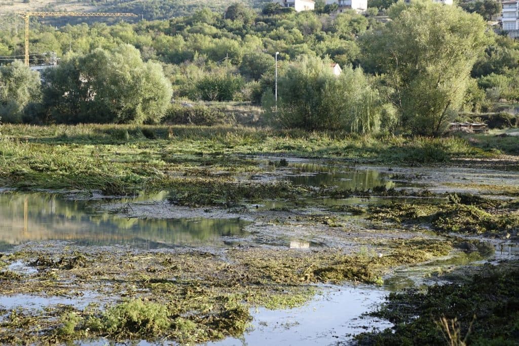 Ilustracija članka: Vodostaj Vrljike nastavlja se normalizirati; Sličan slučaj dogodio se i 2004