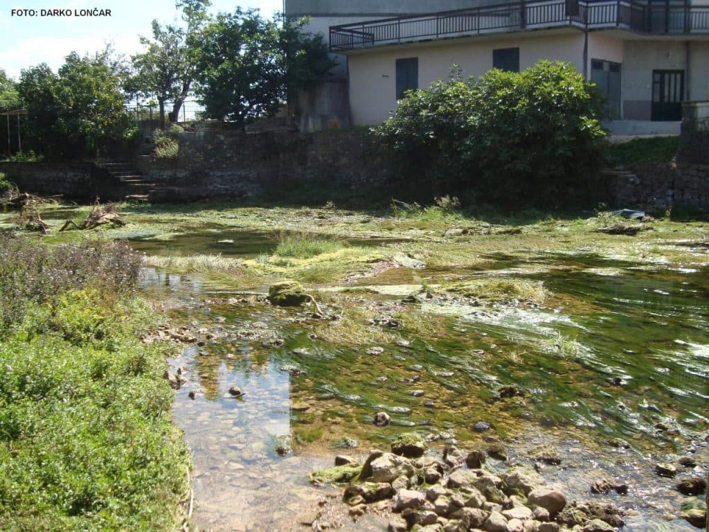 Ilustracija članka: Oči Imoćana uprte u Vrljiku