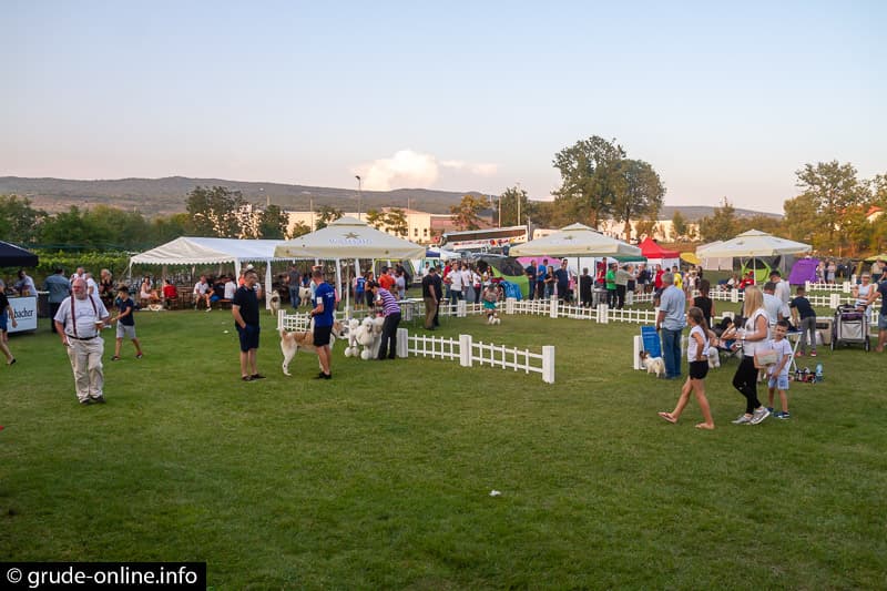 Ilustracija članka: Grudama odbijena kandidatura za međunarodnu izložbu pasa 2019.