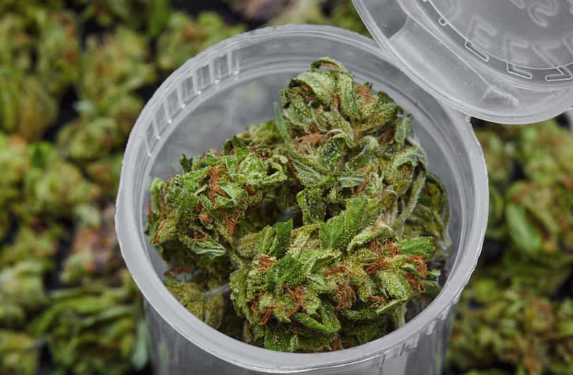 Ilustracija članka: Struka je za: BiH bi mogla uskoro legalizirati kanabis