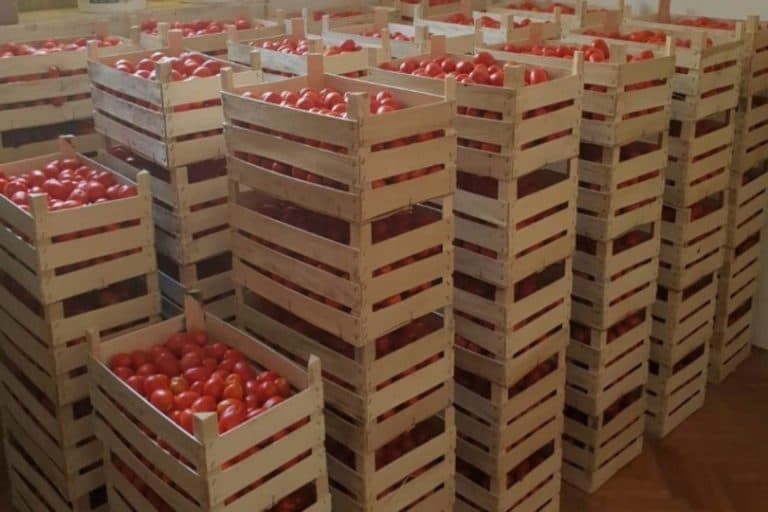 Ilustracija članka: Stigla donacija “Podravke” Crvenom križu ŽZH