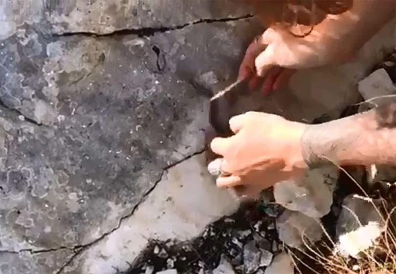 Ilustracija članka: Bizarno: Snimila ugriz poskoka kojeg je htjela pomaziti