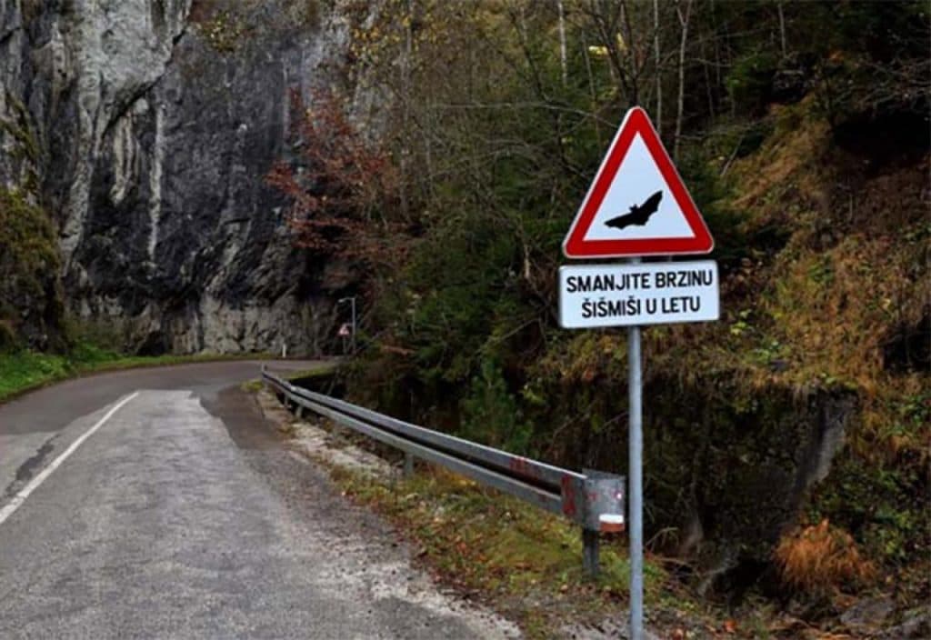 Ilustracija članka: BiH prva na svijetu dobila znak koji upozorava na šišmiše